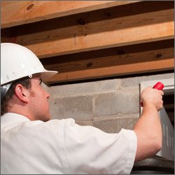 roof inspection or roof estimate