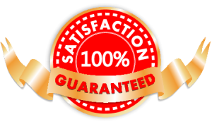 Satisfaction Guaranteed 100 Seal V3.png