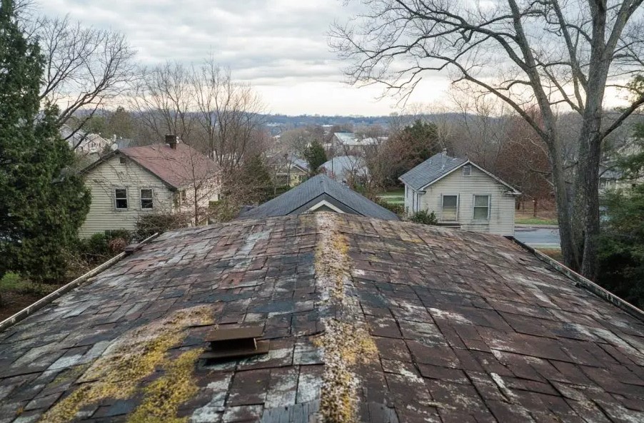 Moss vs. Mold on Roofs in Florida: Identifying and Addressing the Issue 1 69a061a7a126401f0f630884 early signs of mold on roof