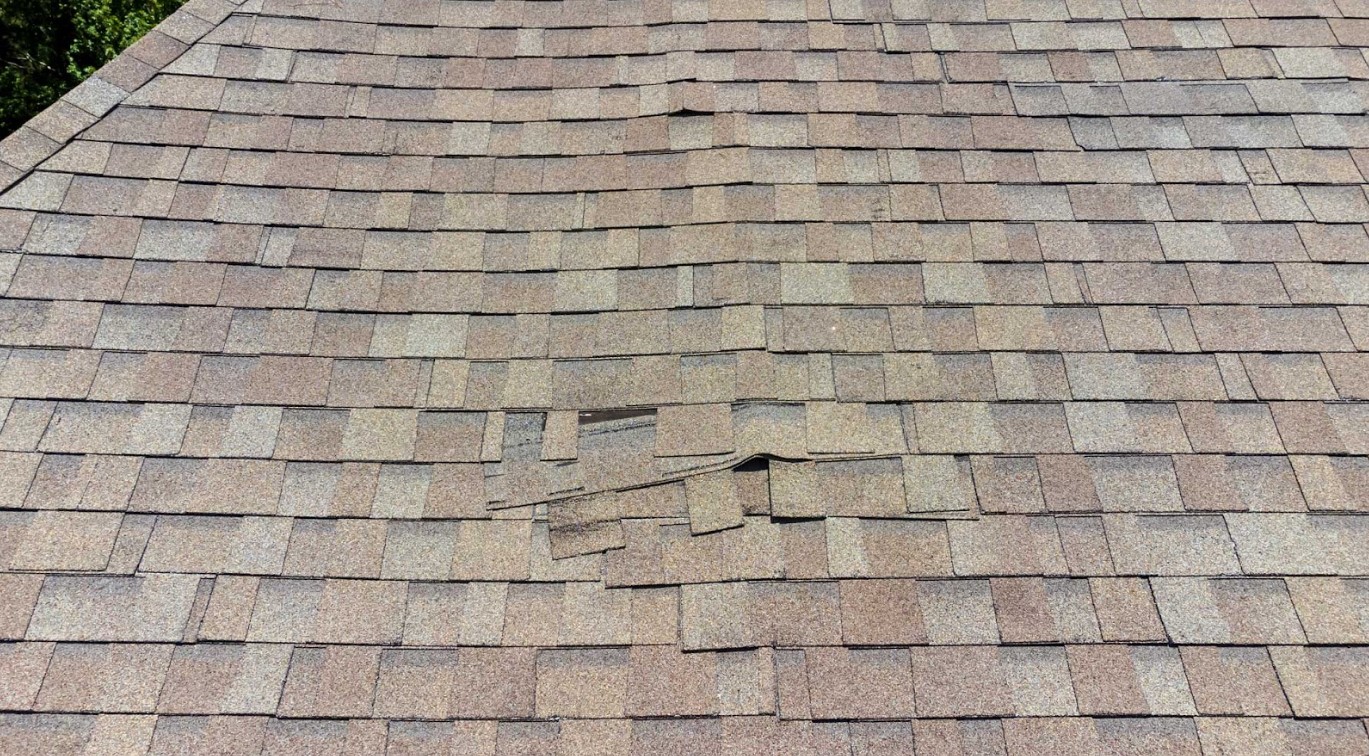 Residential asphalt shingle roof with severely lifted and missing shingles exposing the underlayment and roof deck.