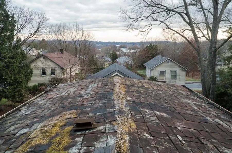 early-signs-of-mold-on-roof