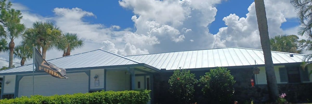 Florida home with a silver metal roof and palm trees, complete guide to metal roofing in Florida by My Florida Roofing Contractor